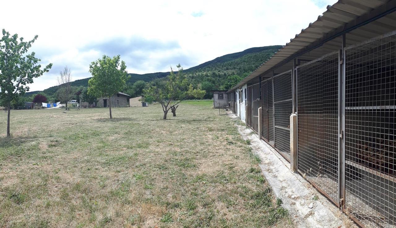 Albergue A'Noguera Кастьєльйо-де-Хака Екстер'єр фото